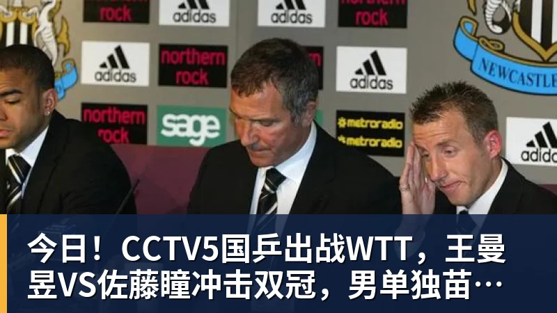 今日！CCTV5国乒出战WTT，王曼昱VS佐藤瞳冲击双冠，男单独苗周启豪PK松岛辉空